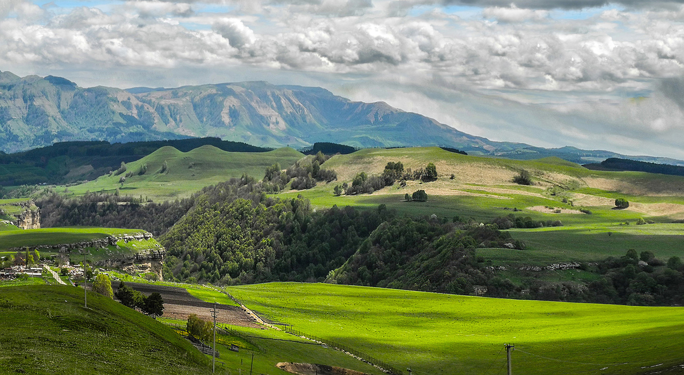 Предгорья Кавказа